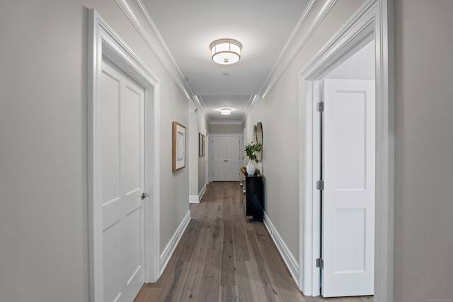 corridor featuring crown molding and wood-type flooring