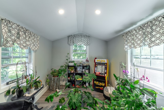 recreation room with lofted ceiling and hardwood / wood-style floors