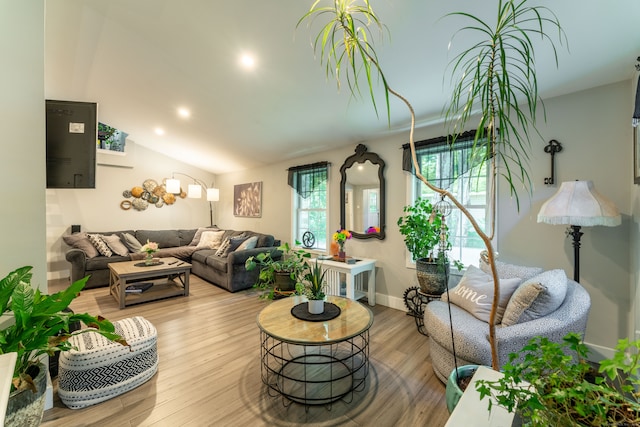 living room with light hardwood / wood-style floors and lofted ceiling