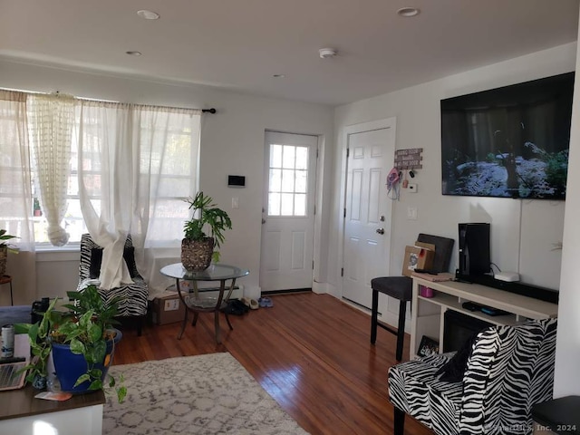 entrance foyer with hardwood / wood-style floors and a wealth of natural light