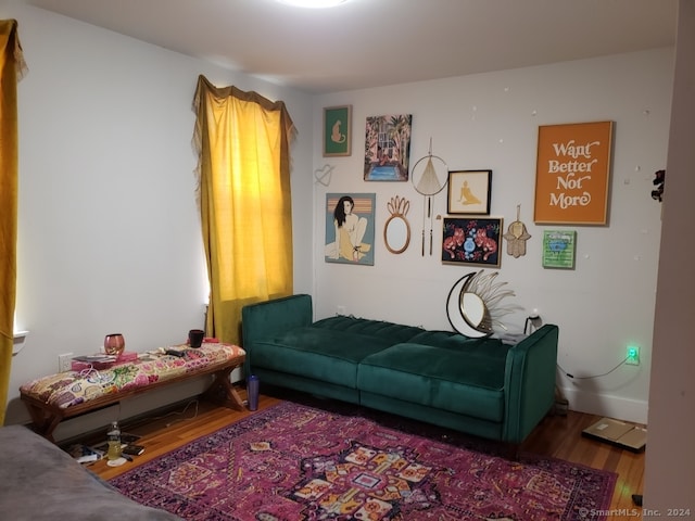 living room featuring hardwood / wood-style floors