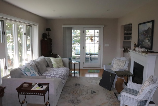 living area with a healthy amount of sunlight, a fireplace, and wood finished floors