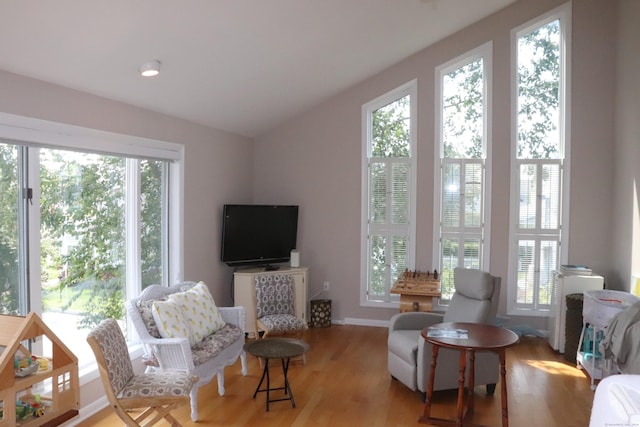 living room featuring vaulted ceiling, wood finished floors, and a wealth of natural light