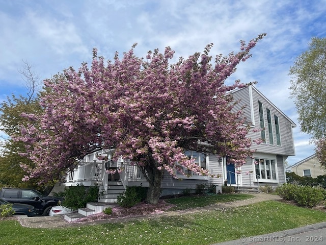 view of property hidden behind natural elements with a front yard