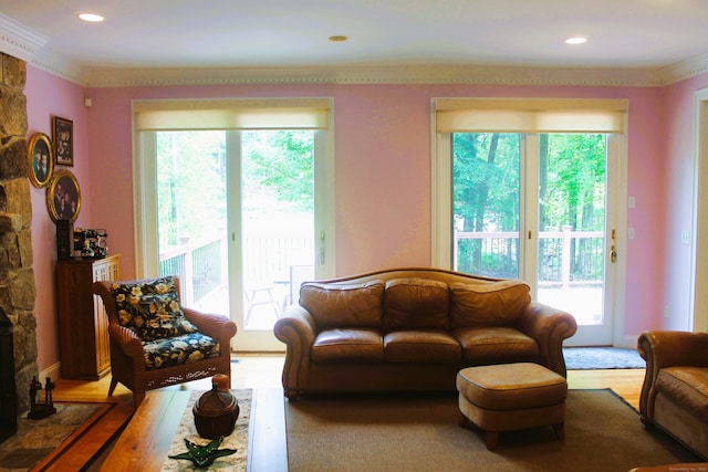 living room featuring crown molding and wood-type flooring