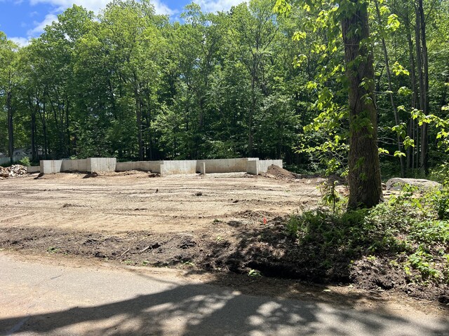 39 Lafayette Rd, Marlborough, CT 06447 - view of yard