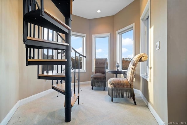 sitting room featuring carpet flooring