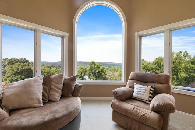 living room featuring light carpet