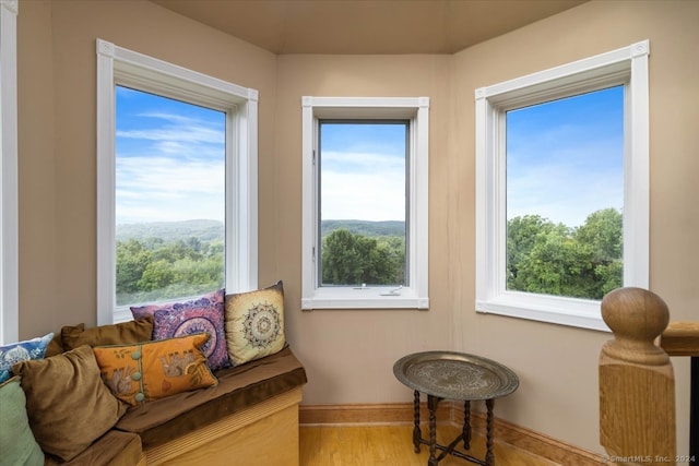 sitting room featuring plenty of natural light and light hardwood / wood-style flooring