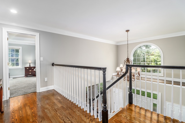 hall with hardwood / wood-style floors, ornamental molding, and a healthy amount of sunlight