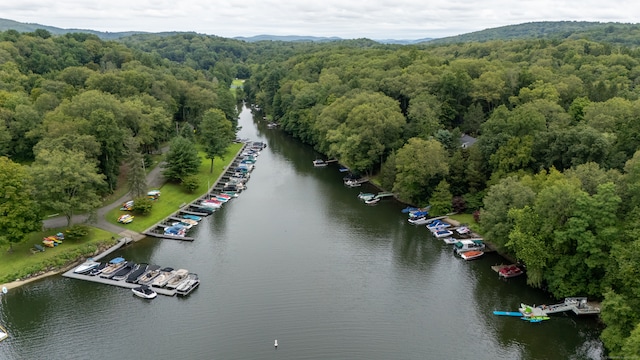 bird's eye view with a water view