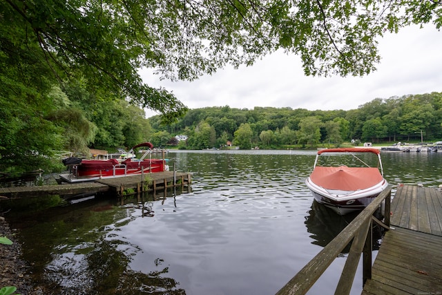 dock area with a water view