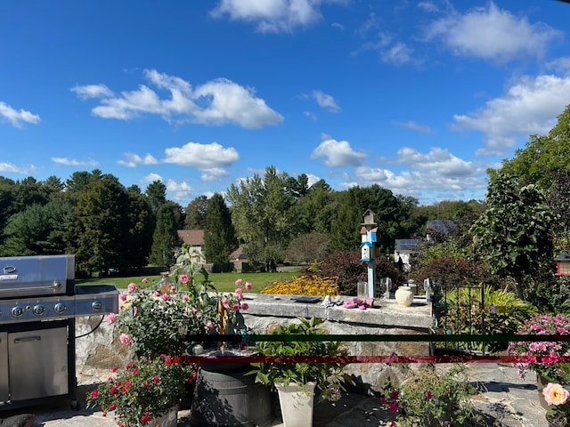 view of patio / terrace featuring a grill