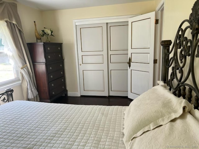 bedroom featuring dark wood-type flooring and a closet