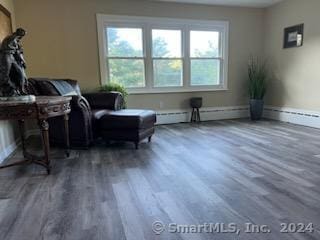 sitting room featuring wood-type flooring