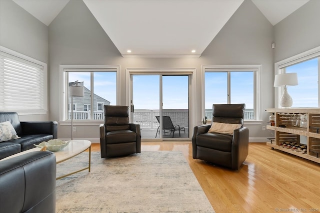 living room with wood-type flooring, high vaulted ceiling, and plenty of natural light