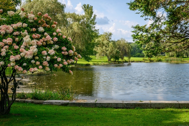 property view of water