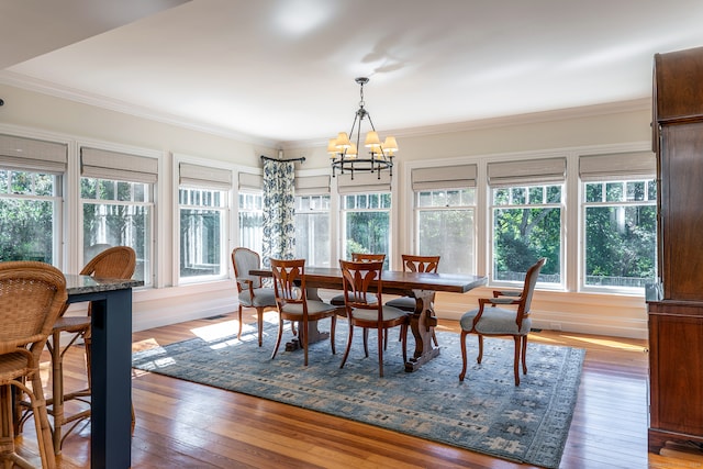 dining room with hardwood / wood-style floors, a chandelier, and a healthy amount of sunlight