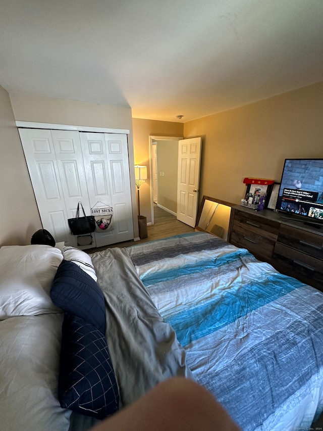 bedroom featuring a closet and wood-type flooring