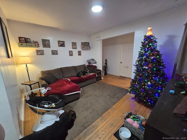 living room with hardwood / wood-style floors