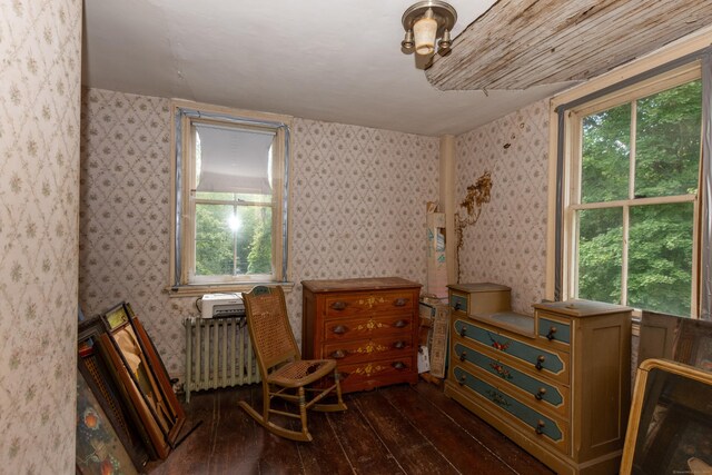 sitting room featuring radiator and dark hardwood / wood-style flooring