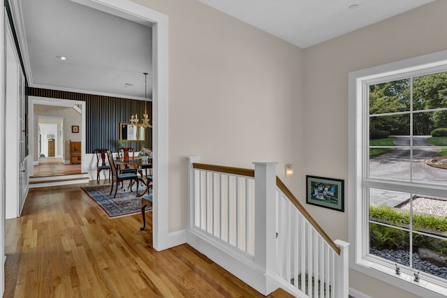 hallway featuring crown molding, a chandelier, and light wood-type flooring