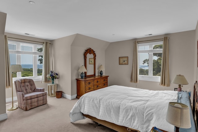 138 River Rd, Deep River, CT 06417 - carpeted bedroom featuring multiple windows and baseboards
