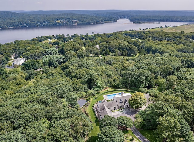138 River Rd, Deep River, CT 06417 - aerial view of a forest and a large body of water