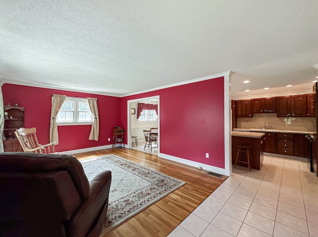 living room featuring light wood-type flooring, a textured ceiling, ornamental molding, and sink