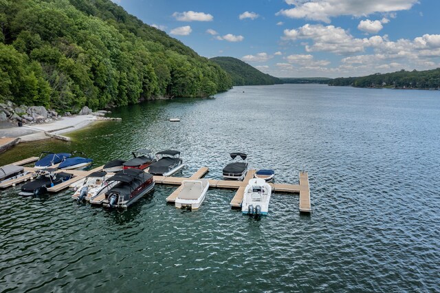 view of dock featuring a water view