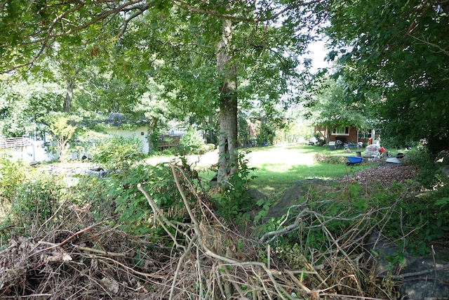 Miller St, Waterbury, CT 06701