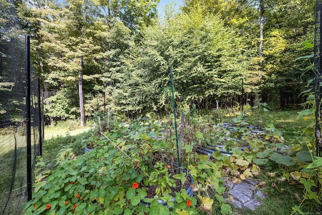 14 Stilson Ln, New Milford, CT 06776 - view of nature with a view of trees