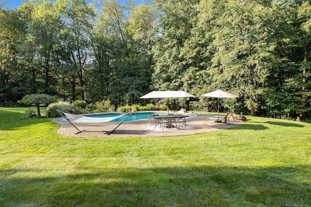 14 Stilson Ln, New Milford, CT 06776 - outdoor pool featuring a patio and a lawn