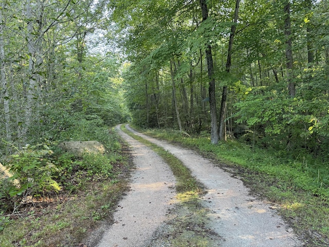 48A Ironworks Rd, Clinton, CT 06413 - view of street with a view of trees
