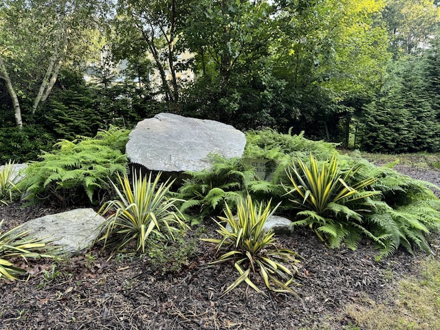 48A Ironworks Rd, Clinton, CT 06413 - view of yard