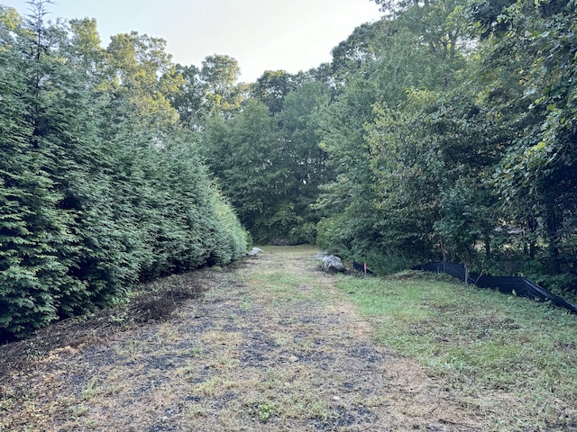 48A Ironworks Rd, Clinton, CT 06413 - view of yard featuring a wooded view