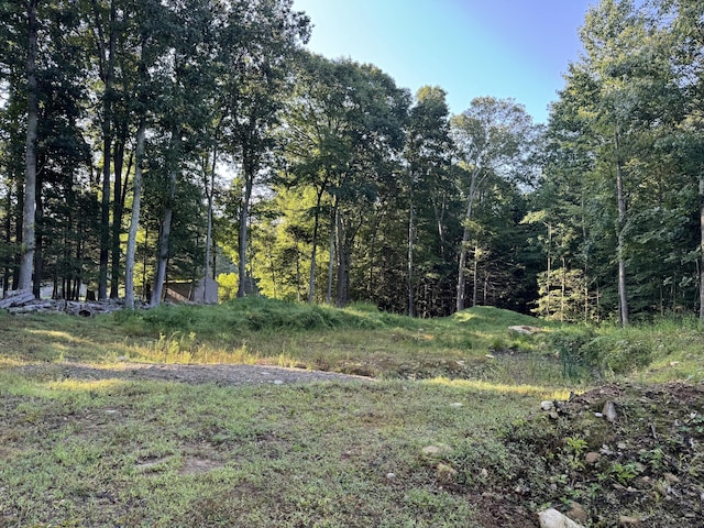 48A Ironworks Rd, Clinton, CT 06413 - view of wooded area