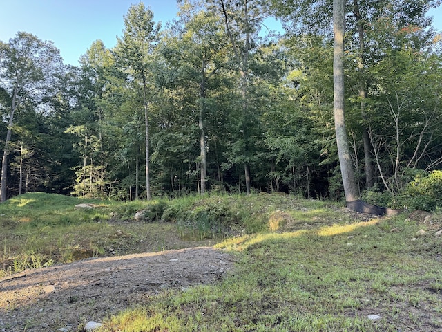 48A Ironworks Rd, Clinton, CT 06413 - view of tree filled area