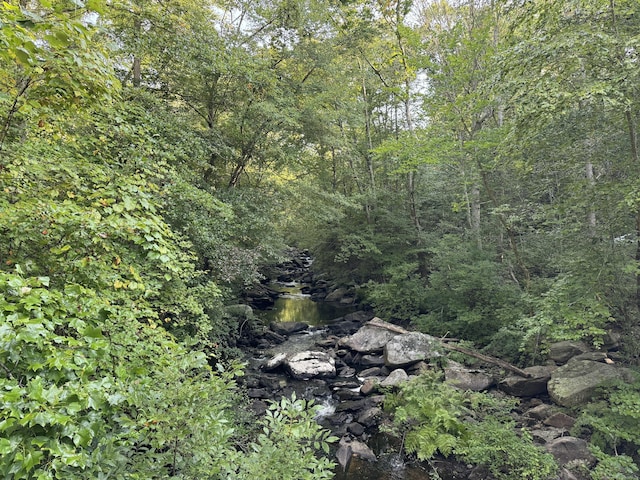 48A Ironworks Rd, Clinton, CT 06413 - view of wooded area