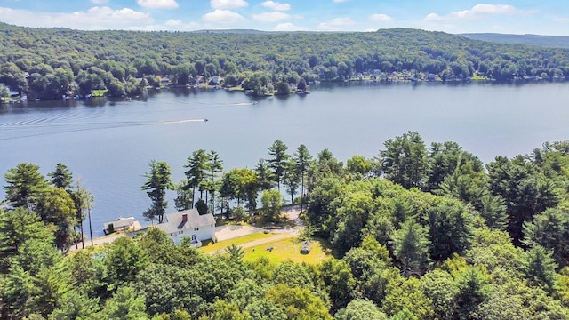 431 W Wakefield Blvd, Winchester, CT 06098 - photo 15