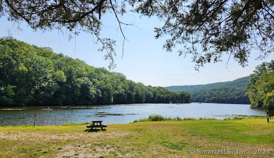 175 Sugar St, Newtown, CT 06470 - property view of water with a forest view