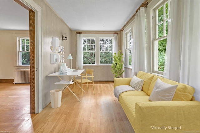 175 Sugar St, Newtown, CT 06470 - sunroom featuring radiator