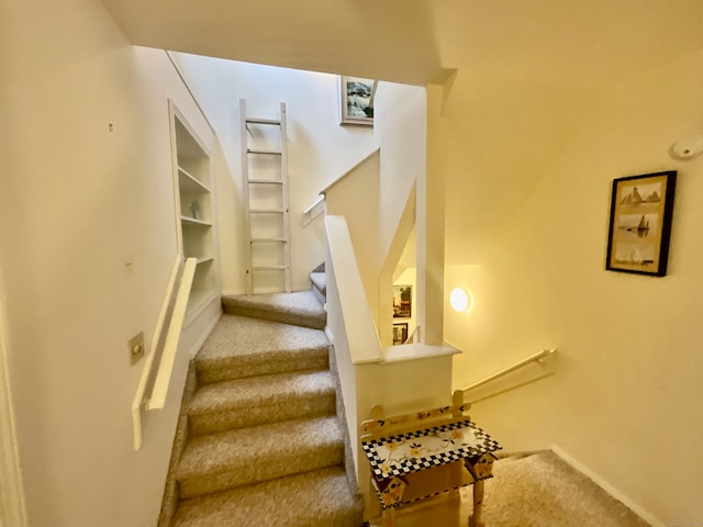 stairway with carpet flooring