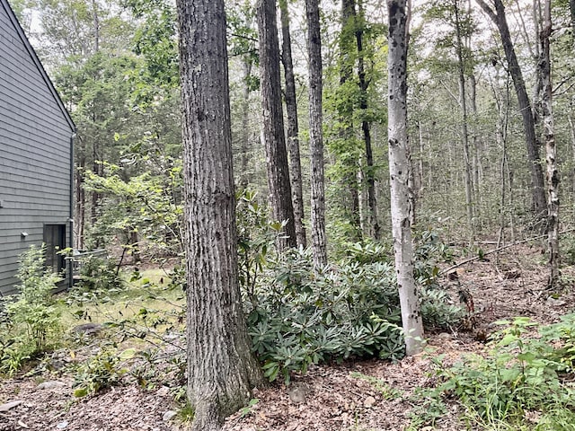 view of nature with a forest view