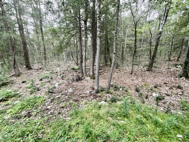 view of landscape with a forest view