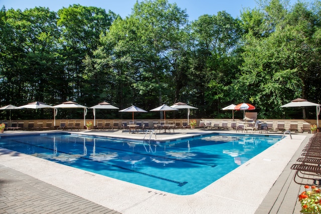 view of pool with a patio