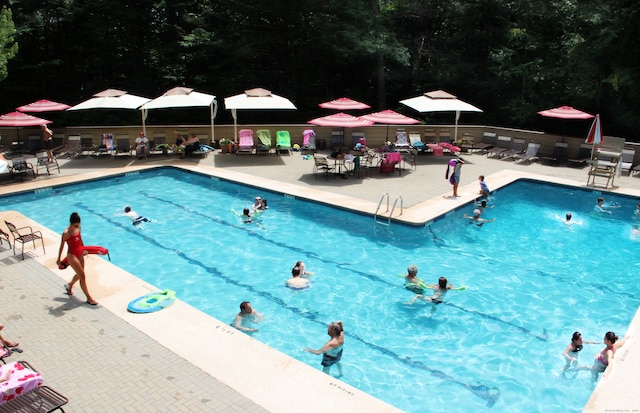 view of swimming pool featuring a patio