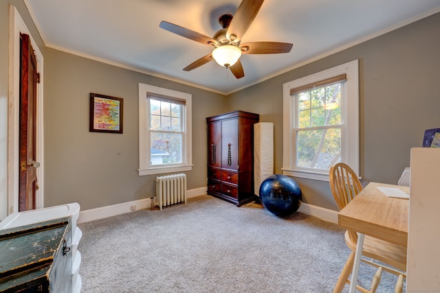 home office with baseboards, radiator, ornamental molding, and carpet flooring