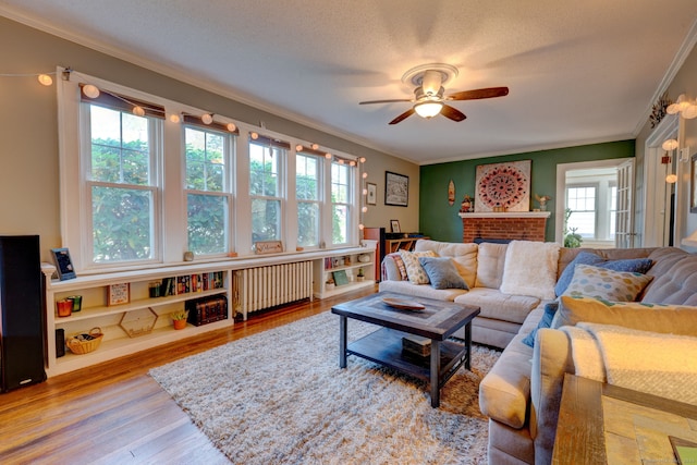 living room featuring ornamental molding, a ceiling fan, a textured ceiling, wood finished floors, and radiator