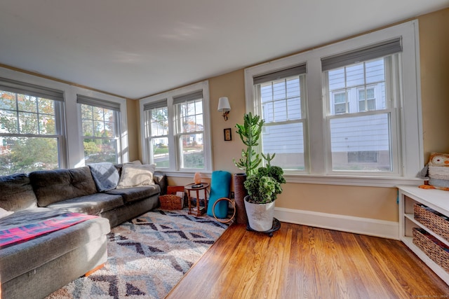 living room with baseboards and wood finished floors